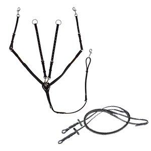 Reins and Auxiliary Reins